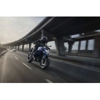 BT Moto (BrenTune) Stage 1+ Performance Calibration with Handheld Tuner for the BMW R 1300 R (2025+) BT Moto (BrenTune) Stage 1+ Performance Calibration with Handheld Tuner for the BMW R 1300 R (2025+)